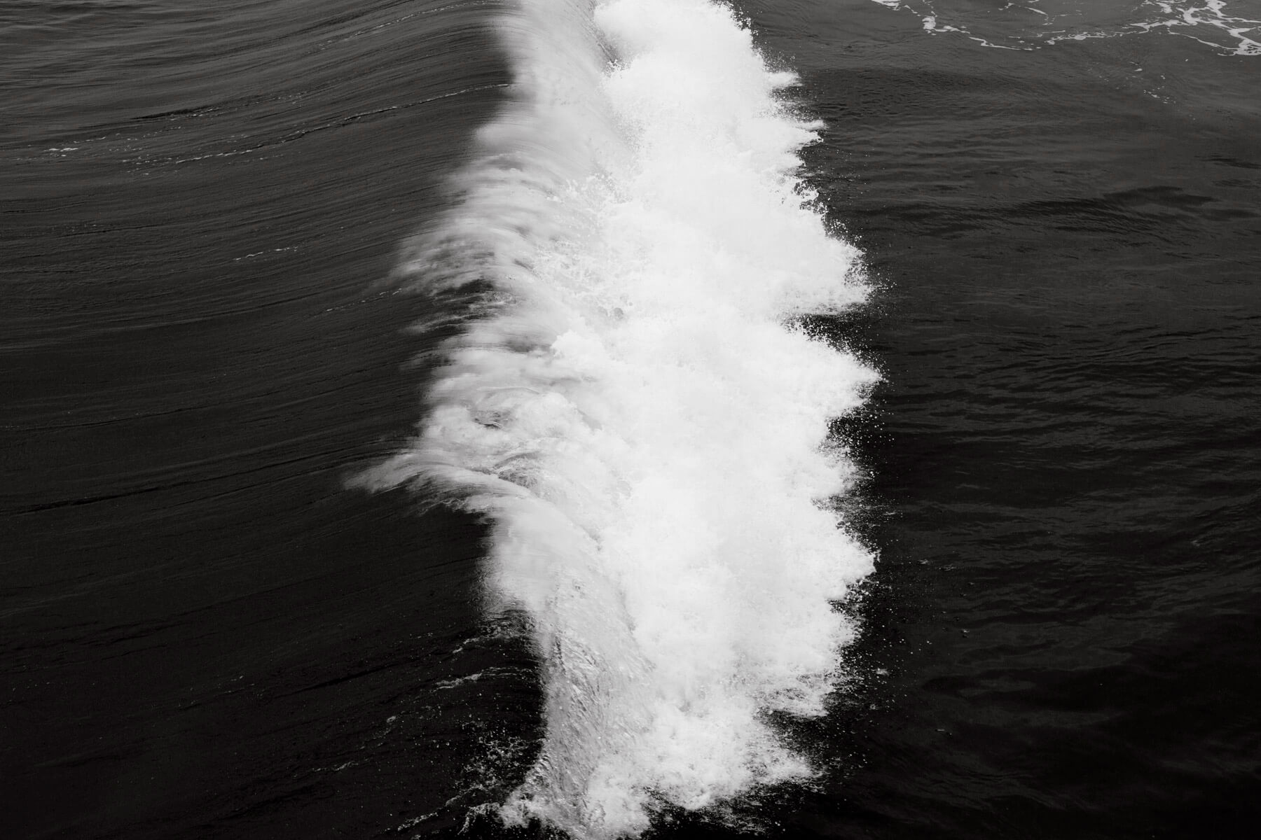 Waves at Venice Beach, CA